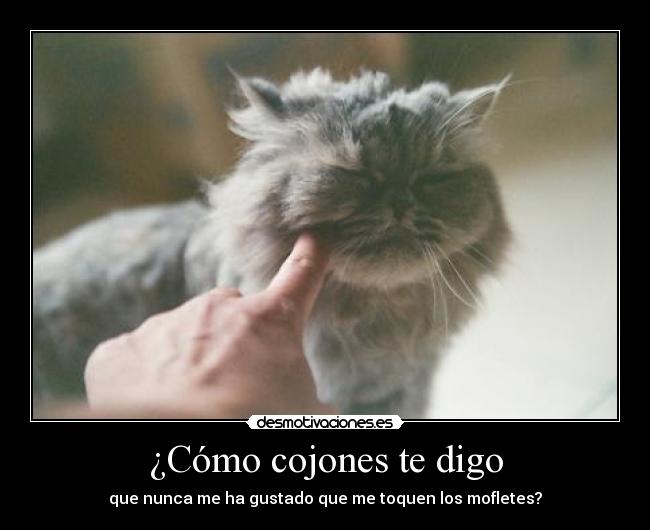 ¿Cómo cojones te digo -