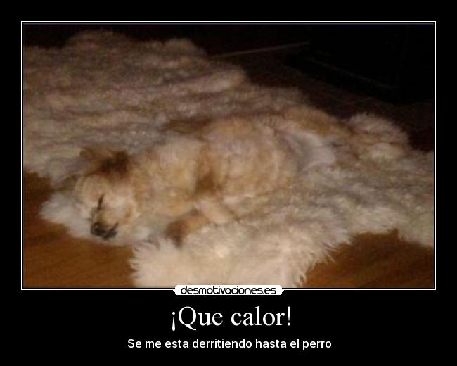 ¡Que calor! -
