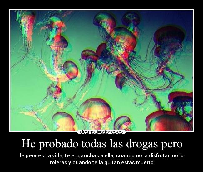 He probado todas las drogas pero -