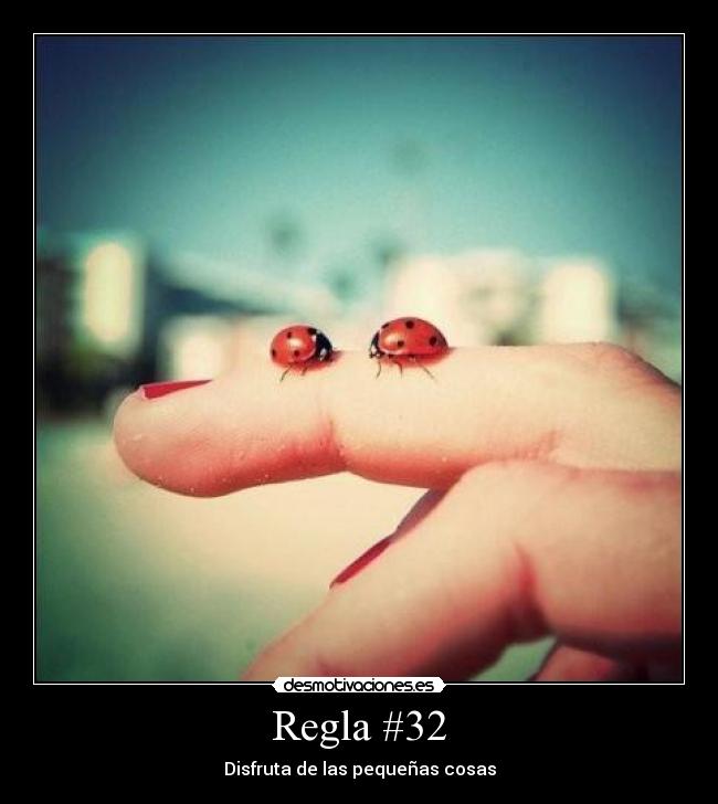 Regla #32 -