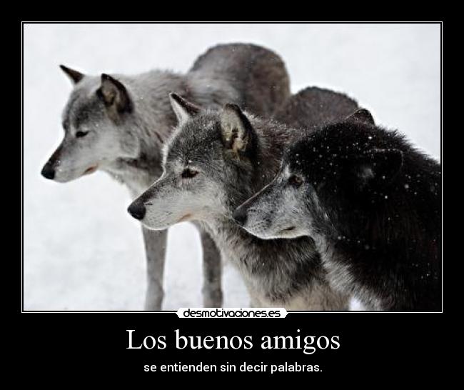 Los buenos amigos - se entienden sin decir palabras.