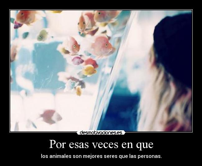 Por esas veces en que - los animales son mejores seres que las personas.