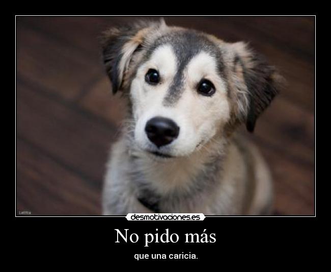 No pido más - que una caricia.