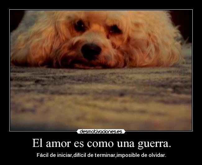 El amor es como una guerra. - 
