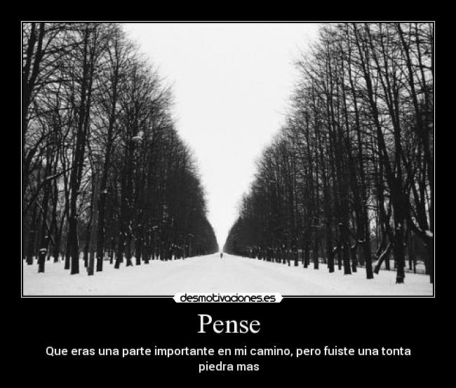 Pense - Que eras una parte importante en mi camino, pero fuiste una tonta piedra mas