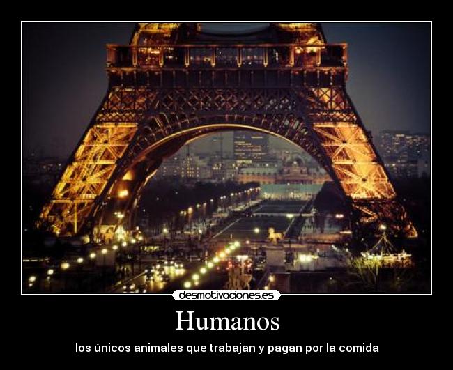 Humanos - los únicos animales que trabajan y pagan por la comida