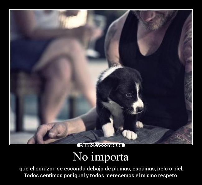 No importa - que el corazón se esconda debajo de plumas, escamas, pelo o piel.
Todos sentimos por igual y todos merecemos el mismo respeto.