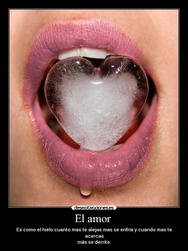 El amor -