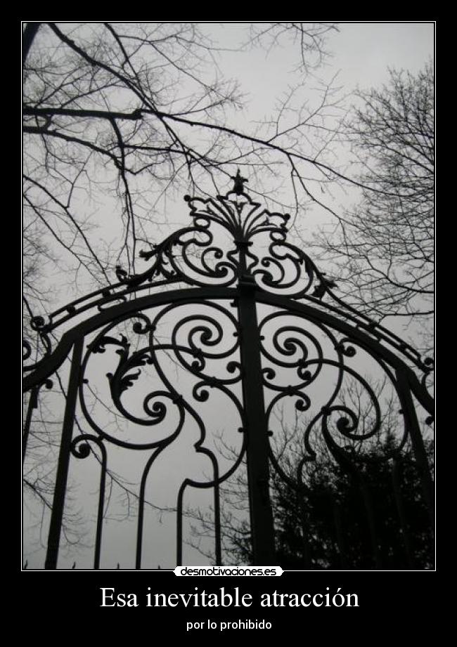 Esa inevitable atracción - por lo prohibido