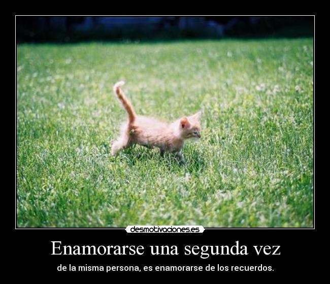 carteles pero confundas con seguir enamorado misma persona desmotivaciones