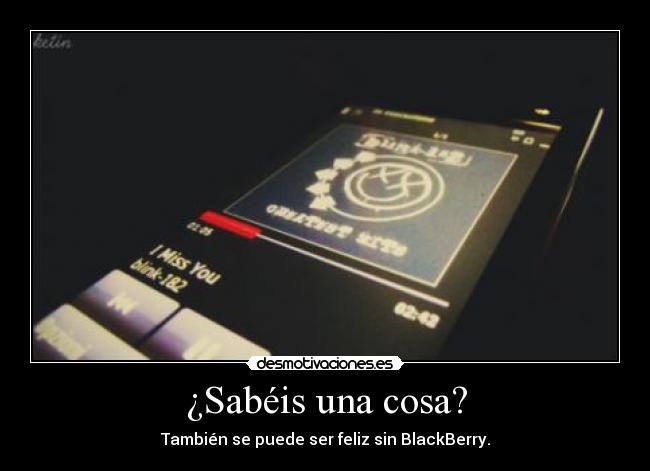 ¿Sabéis una cosa? -