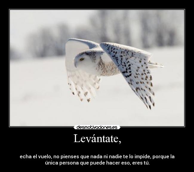 Levántate, - 
echa el vuelo, no pienses que nada ni nadie te lo impide, porque la
única persona que puede hacer eso, eres tú.