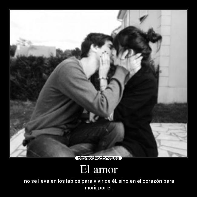 El amor - 