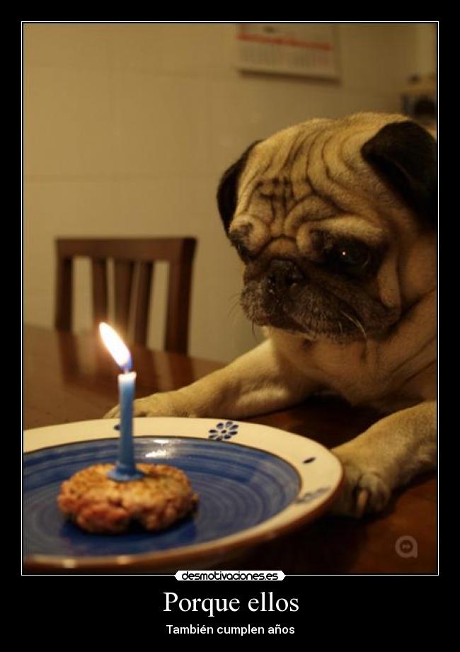 Porque ellos - También cumplen años