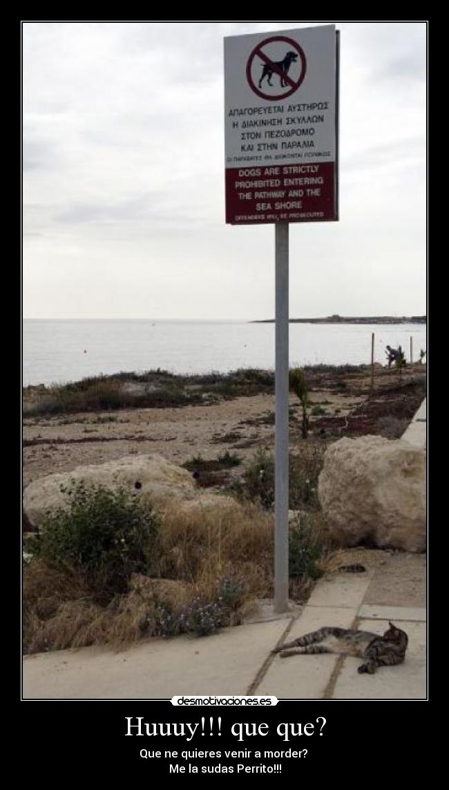 Huuuy!!! que que? - Que ne quieres venir a morder?
Me la sudas Perrito!!!