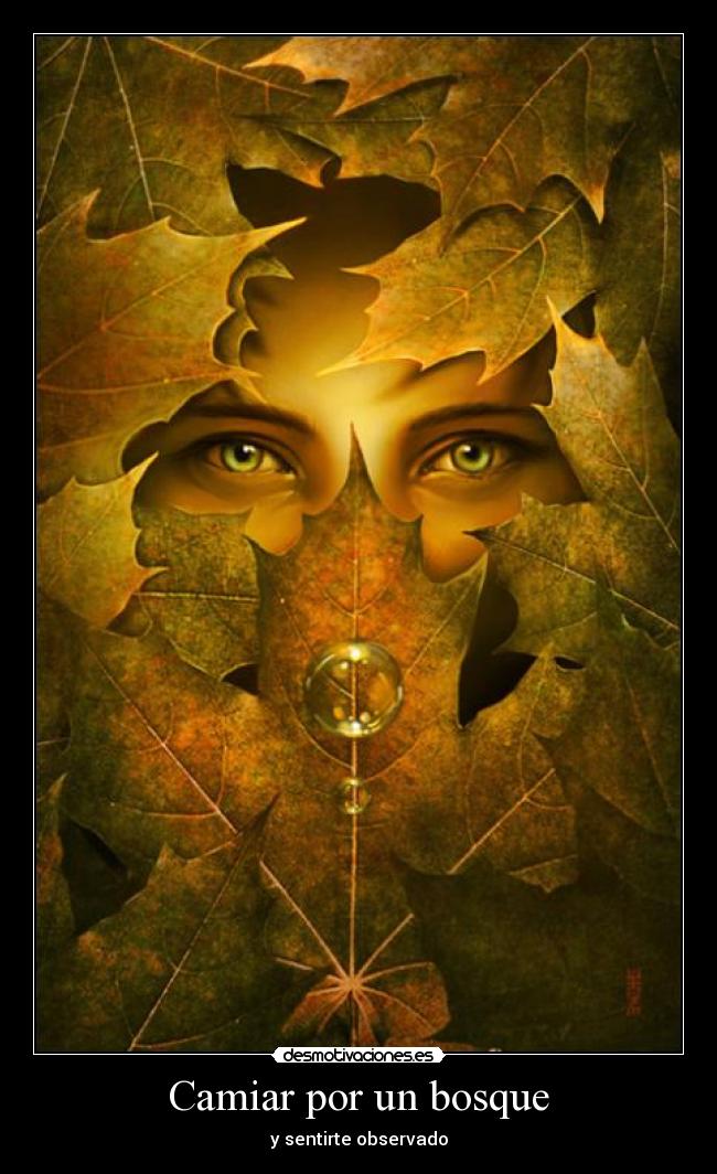 Camiar por un bosque -
