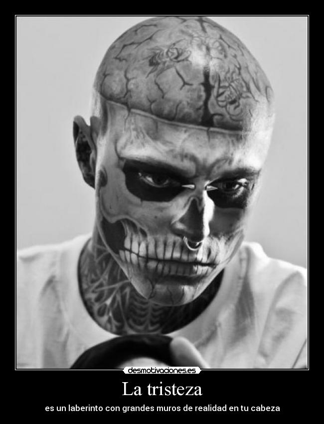 carteles tristeza foto esta off matando una hormiga con mirada ambas opciones son posibles desmotivaciones