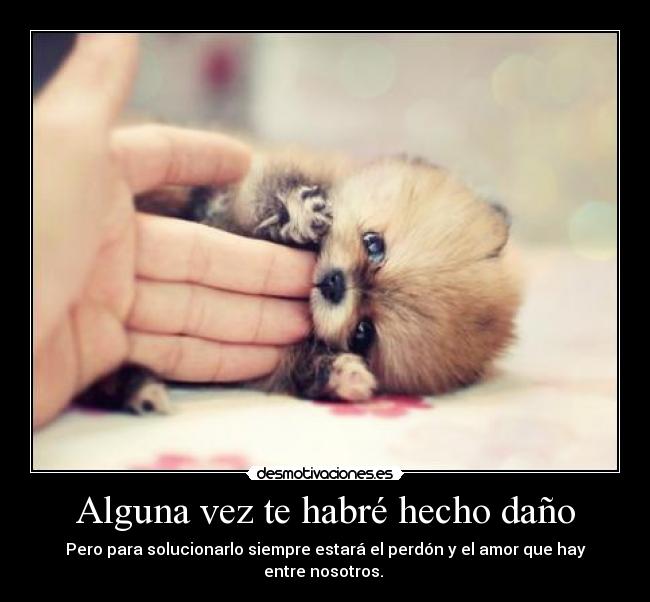 Alguna vez te habré hecho daño - Pero para solucionarlo siempre estará el perdón y el amor que hay entre nosotros. 
