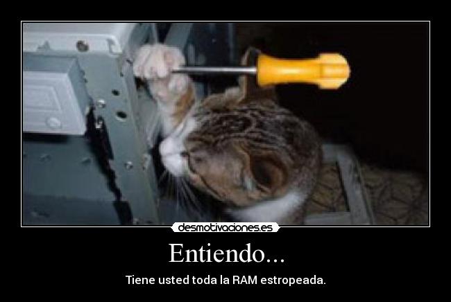 Entiendo... - Tiene usted toda la RAM estropeada.