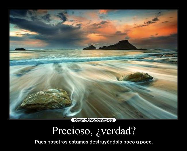 carteles true desmotivaciones