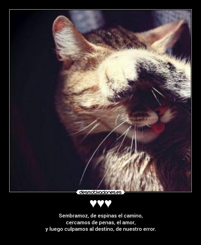 ♥♥♥ - Sembramoz, de espinas el camino,
cercamos de penas, el amor,
y luego culpamos al destino, de nuestro error.