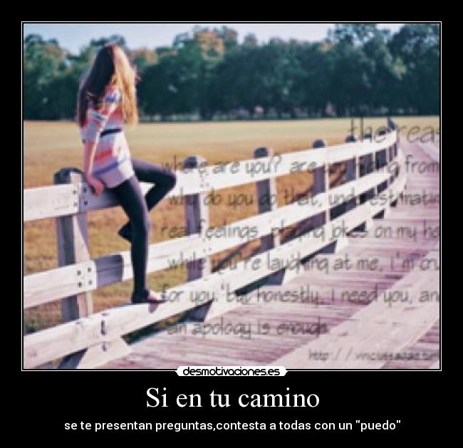 Si en tu camino - 