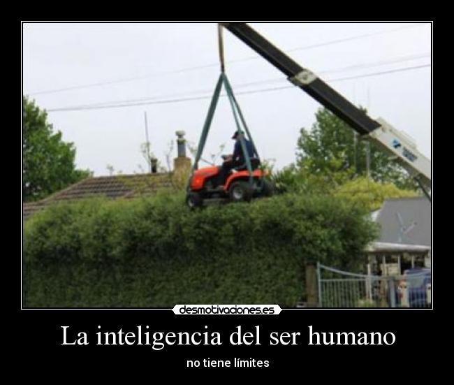 La inteligencia del ser humano - no tiene límites