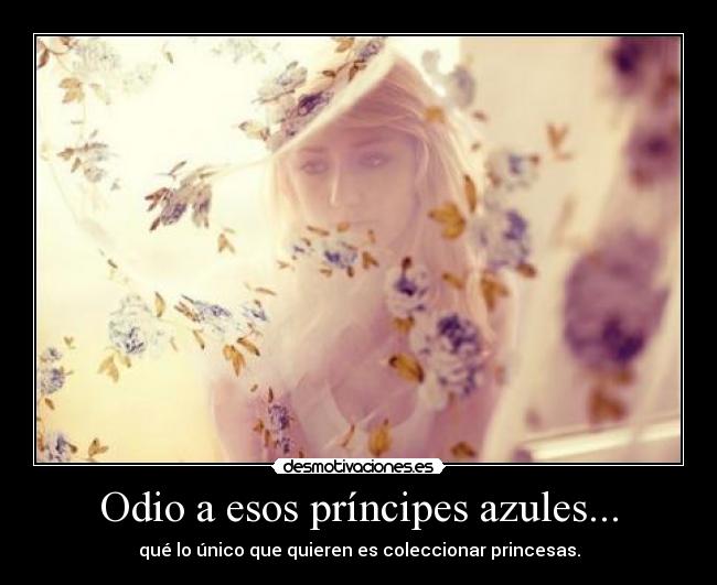 Odio a esos príncipes azules... - 