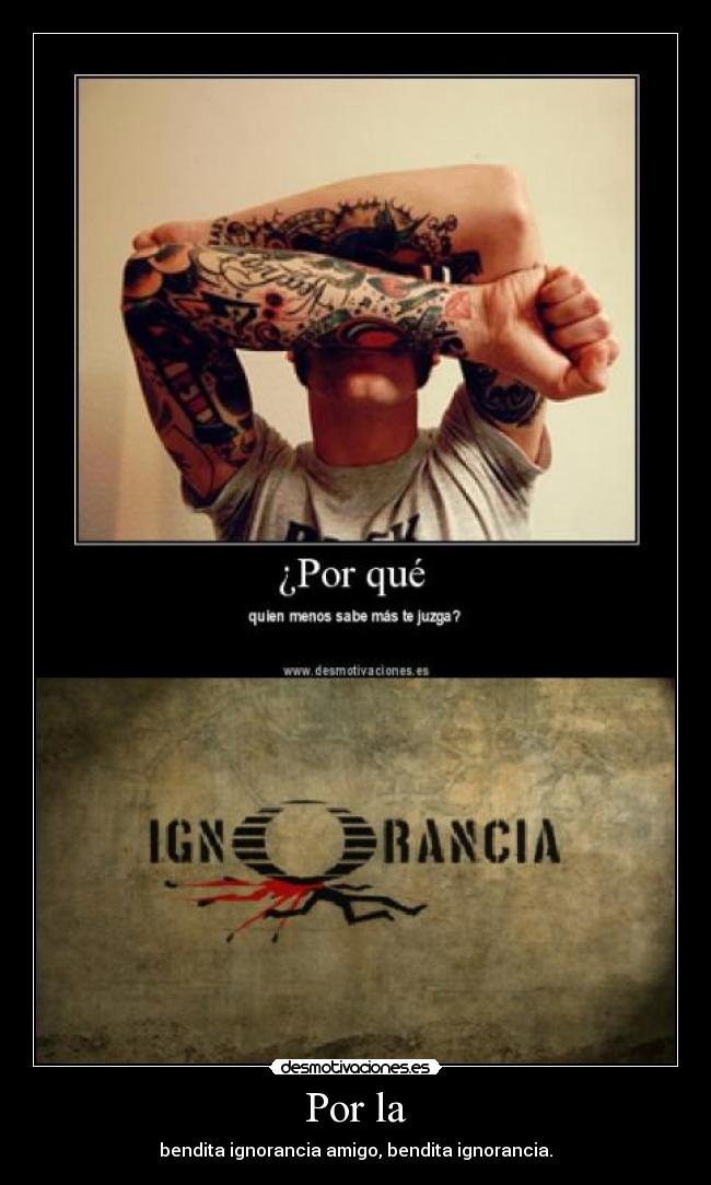 Por la - bendita ignorancia amigo, bendita ignorancia.