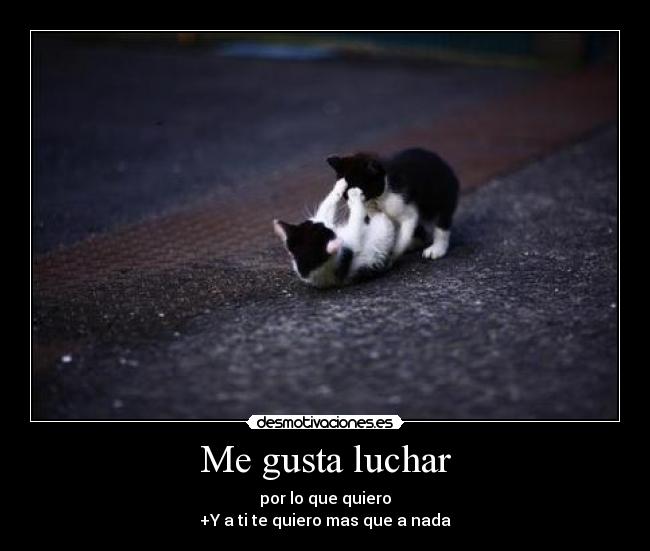 Me gusta luchar - por lo que quiero
+Y a ti te quiero mas que a nada