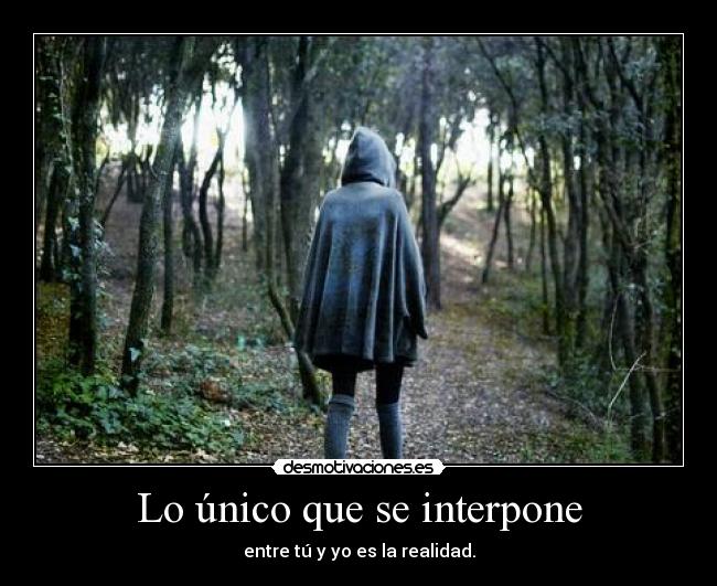 carteles unico que interpone entre realidad desmotivaciones