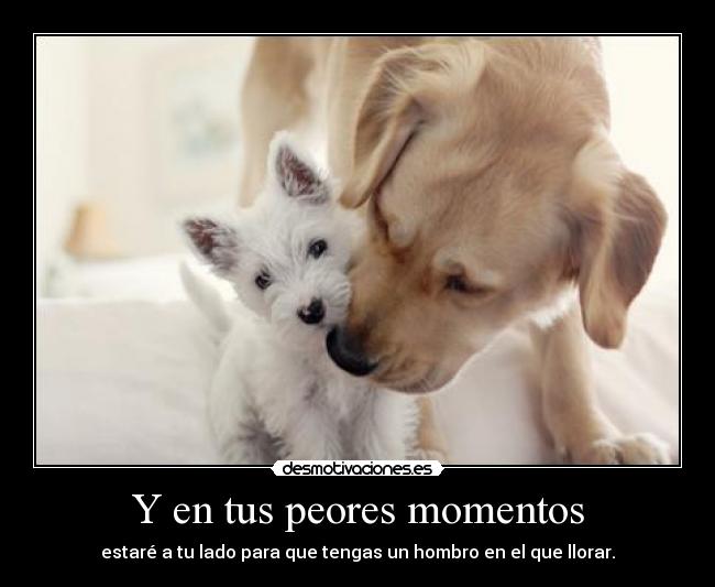 Y en tus peores momentos -