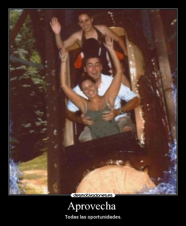 Aprovecha  - Todas las oportunidades.