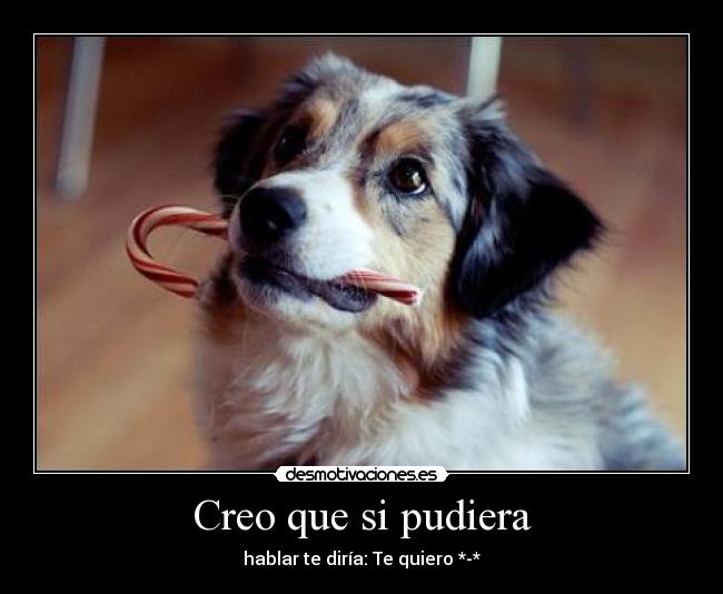 carteles creo que pudiera desmotivaciones