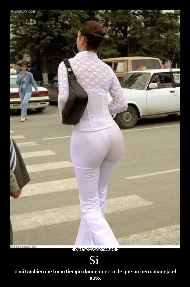 Si  - a mi tambien me tomo tiempo darme cuenta de que un perro maneja el auto.