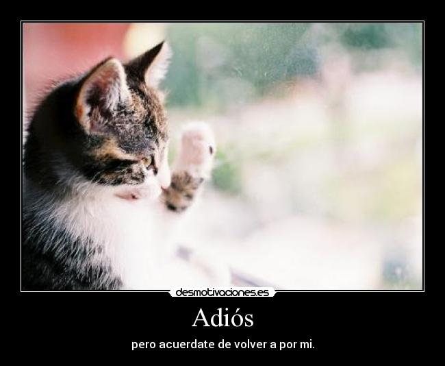 Adiós - pero acuerdate de volver a por mi.