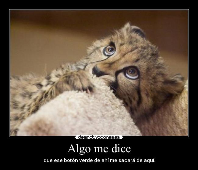 Algo me dice - que ese botón verde de ahí me sacará de aquí.