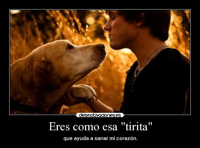 carteles para todos mis desmoamigos ailabiu desmotivaciones