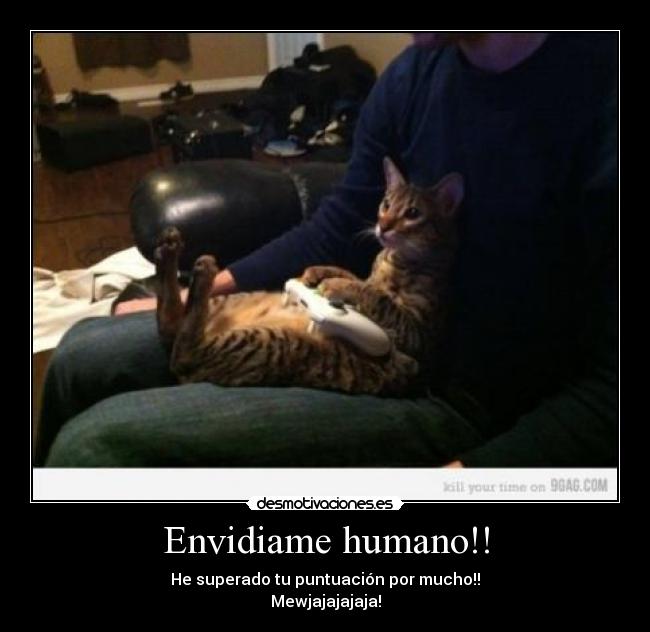 Envidiame humano!! - He superado tu puntuación por mucho!!
Mewjajajajaja!