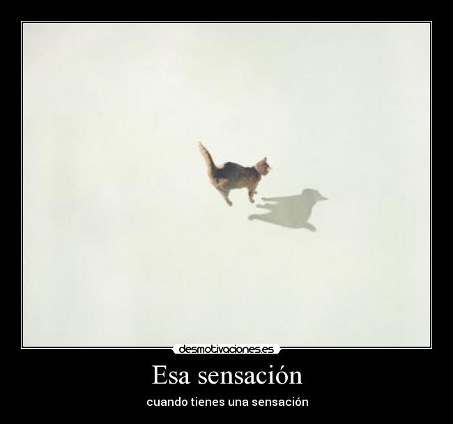 Esa sensación - cuando tienes una sensación