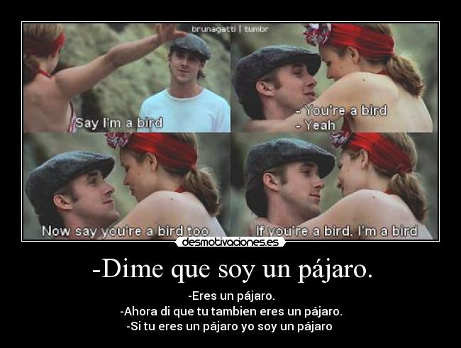 -Dime que soy un pájaro. -