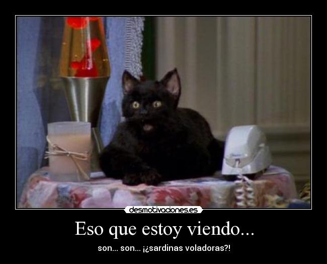 Eso que estoy viendo... - son... son... ¡¿sardinas voladoras?!