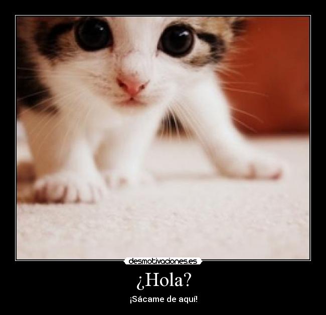 ¿Hola? - 