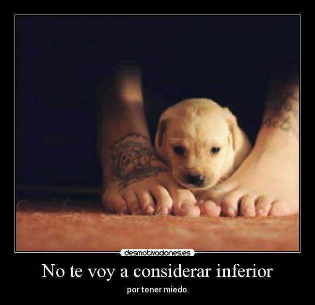 No te voy a considerar inferior - 