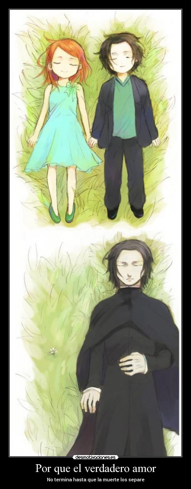 Por que el verdadero amor - 