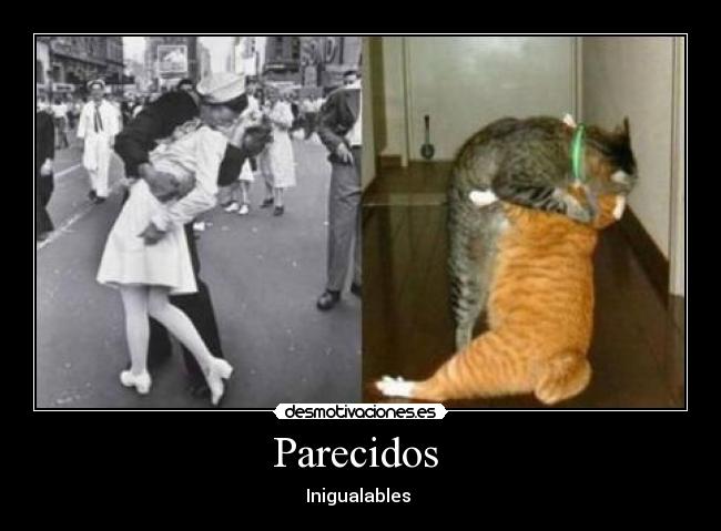 Parecidos - Inigualables