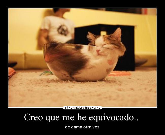 Creo que me he equivocado.. - de cama otra vez