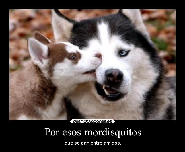 Por esos mordisquitos - que se dan entre amigos.
