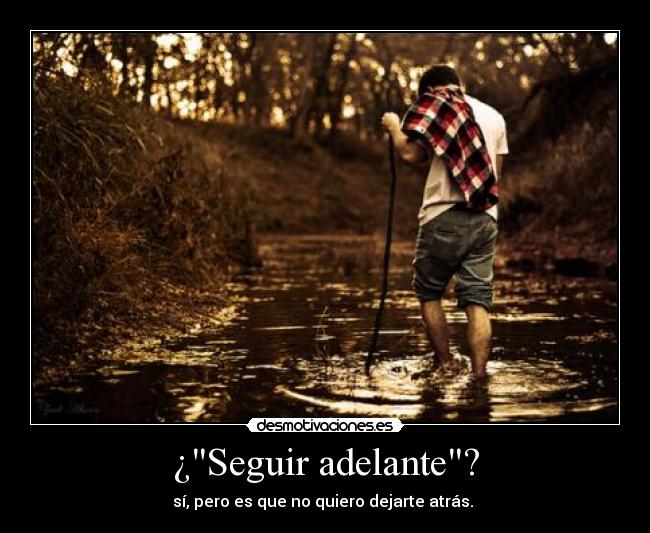 ¿Seguir adelante? - 