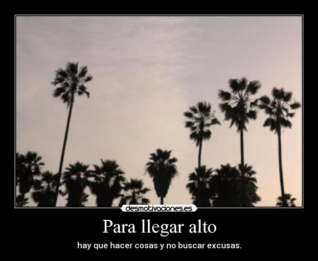 Para llegar alto - hay que hacer cosas y no buscar excusas.